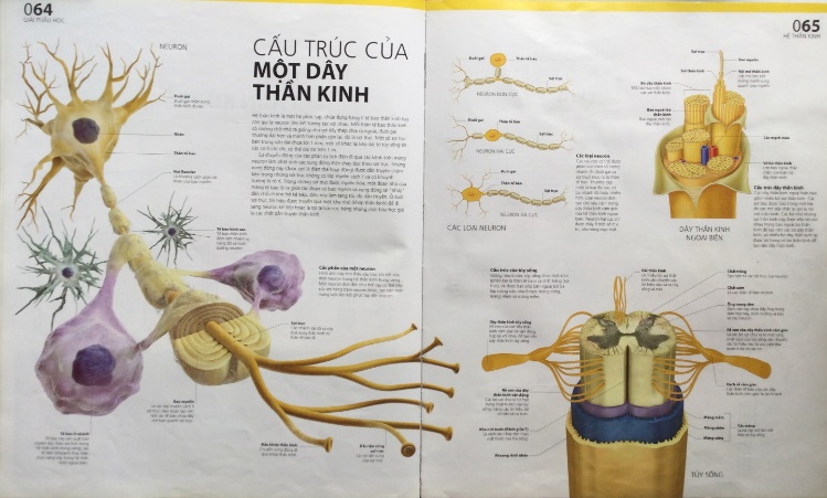 E:\HÌNH ATLAS BỐ CHỤP 7-2025\11.JPG