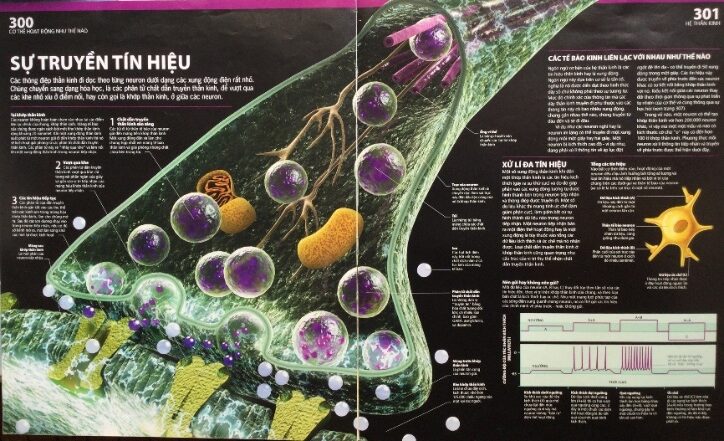 E:\HÌNH ATLAS BỐ CHỤP 7-2025\13.JPG