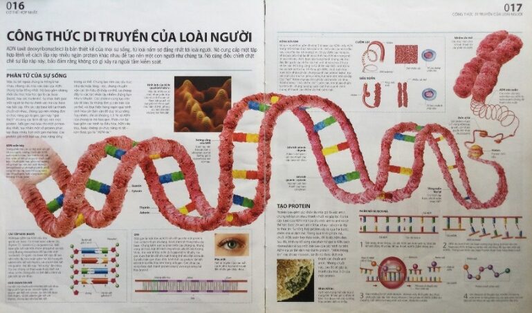 E:\HÌNH ATLAS BỐ CHỤP 7-2025\3.JPG