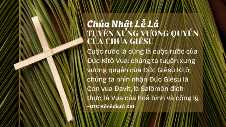 SNMC-Chúa Nhật Lễ Lá