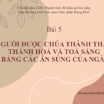 Bài 5. Người được Chúa Thánh Thần thánh hoá và toả sáng bằng các ân sủng của Ngài