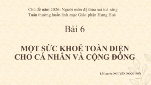 BÀI 6. Tuần thường huấn-Một sức khoẻ toàn diện