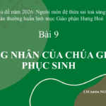 Bài 9. Chứng nhân của Chúa Giêsu Phục Sinh