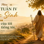 Suy niệm Thứ Ba Tuần IV Phục Sinh