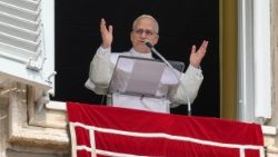 cq5dam.thumbnail.cropped.250.141