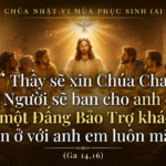 CN_VI_PS_A