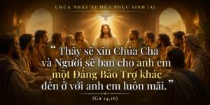 CN_VI_PS_A