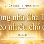 CN_V_PS_A