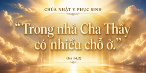 CN_V_PS_A