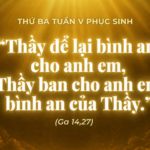 Thứ Ba Tuấn V Phục Sinh