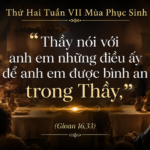 Thu_Hai_Tuan_VII_PS
