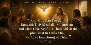 Thu_Hai_Tuan_VI_PS