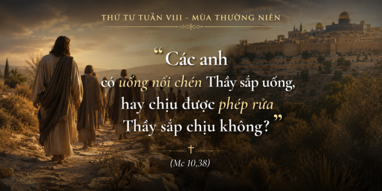 Thu_Tu_Tuan_VIII_TN
