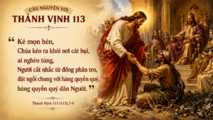 Tv 113_7-8