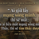 CN_XIII_TN_A
