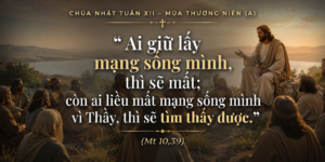 CN_XIII_TN_A