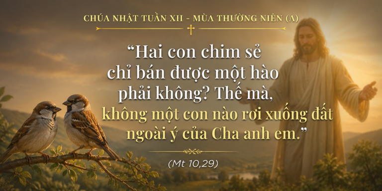 CN_XII_TN_A