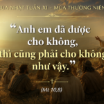 CN_XI_TN_A