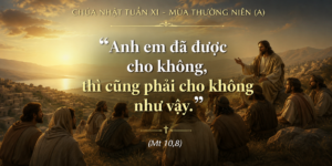 CN_XI_TN_A