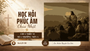 HHPACN_XI_TN_A