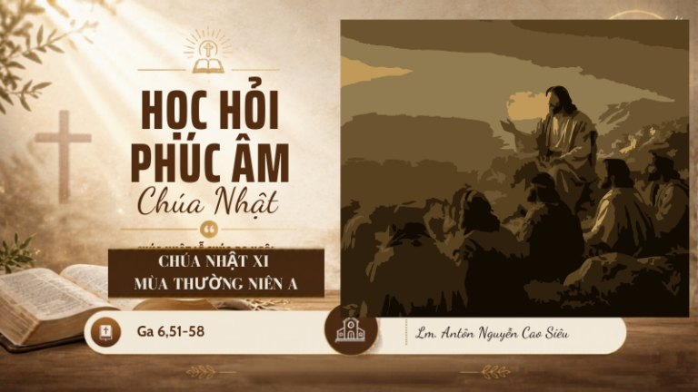 HHPACN_XI_TN_A