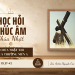 HỌC HỎI PHÚC ÂM CHÚA NHẬT_XIII_TN_A