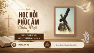 HỌC HỎI PHÚC ÂM CHÚA NHẬT_XIII_TN_A
