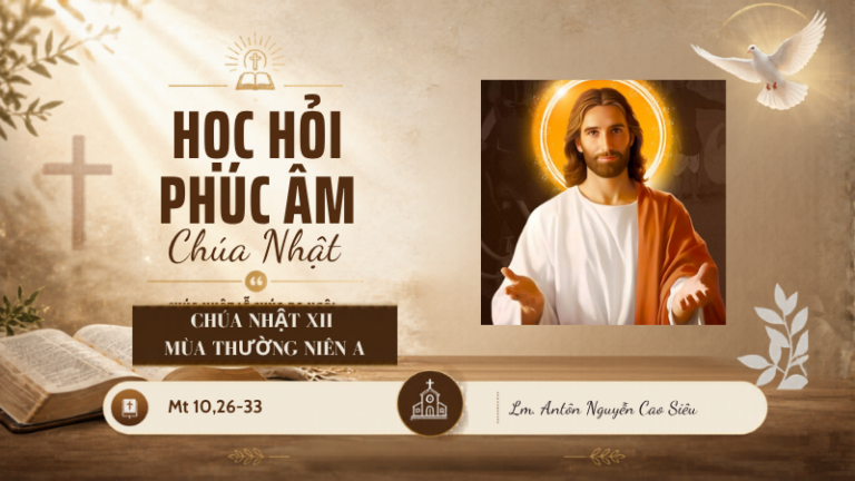 HỌC HỎI PHÚC ÂM CHÚA NHẬT_XII_TN