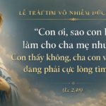 Le_Trai_Tim_Vo_Nhiem