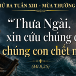 Thu_Ba_Tuan_XIII_TN