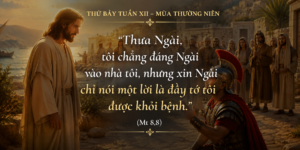 Thu_Bay_Tuan_XII_TN