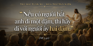 Thu_Hai_Tuan_XI_TN