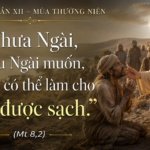 Thu_Sau_Tuan_XII_TN