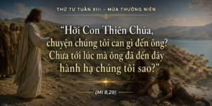 Thu_Tu_Tuan_XIII_TN