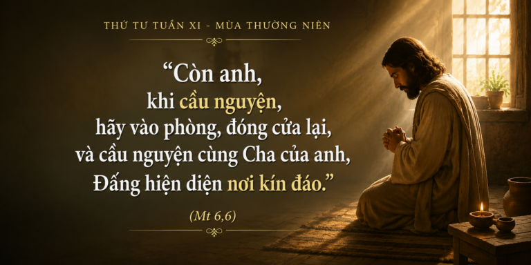Thu_Tu_Tuan_XI_TN