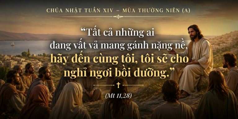 CN_XIV_TN_A