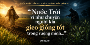 CN_XVI_TN_A