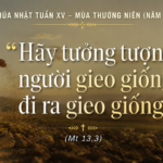 CN_XV_TN_A