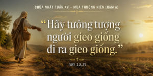 CN_XV_TN_A