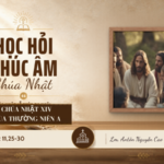 HỌC HỎI PHÚC ÂM CHÚA NHẬT_XIV_TN_A