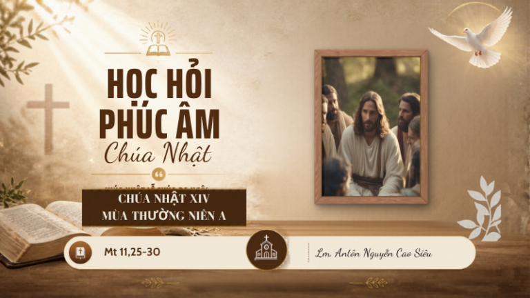 HỌC HỎI PHÚC ÂM CHÚA NHẬT_XIV_TN_A