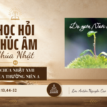 HỌC HỎI PHÚC ÂM CHÚA NHẬT_XVII_TN_A