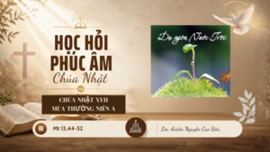 HỌC HỎI PHÚC ÂM CHÚA NHẬT_XVII_TN_A