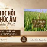 HỌC HỎI PHÚC ÂM CHÚA NHẬT_XVI_TN_A
