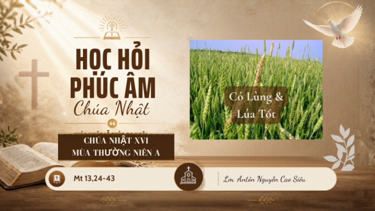 HỌC HỎI PHÚC ÂM CHÚA NHẬT_XVI_TN_A