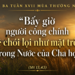 Thu_Ba_Tuan_XVII_TN