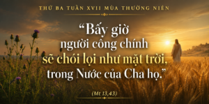 Thu_Ba_Tuan_XVII_TN