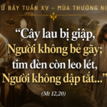 Thu_Bay_Tuan_XV_TN