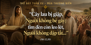 Thu_Bay_Tuan_XV_TN