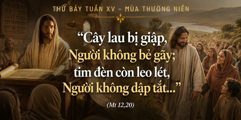 Thu_Bay_Tuan_XV_TN